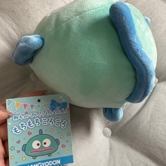 ⑱ｦﾀ活卒業🪽 ｻﾝﾘｵぬいぐるみの画像