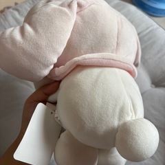 ⑲ｦﾀ活卒業🪽 ｻﾝﾘｵぬいぐるみの画像