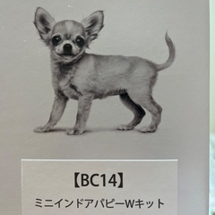ロイヤルカナン　ミニインドアパピーwキットの画像