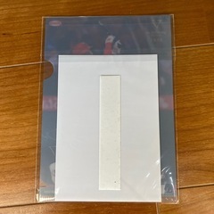 大谷翔平ミニクリアファイル１０枚セットの画像
