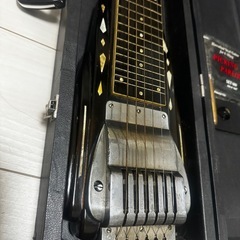 ハワイアンギター の画像