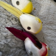 小鳥　飾り　フィギュア　3セット　マグネット付きの画像