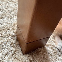 こたつテーブル　の画像