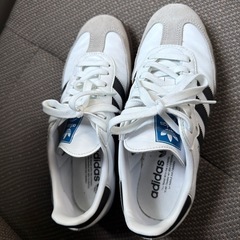 アディダス の画像