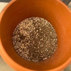 ガーデニング　観葉植物の土　園芸用品　畑の画像