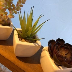 ★フェイク　多肉植物★3種セットの画像