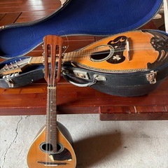 二胡弦　2ヶお譲りします　ケースは1個の画像