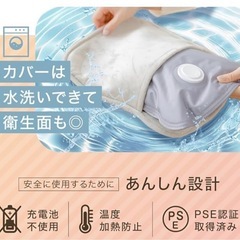 湯たんぽ　　充電式の画像