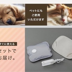 湯たんぽ　　充電式の画像