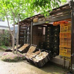 キャンプ・焚き火  『 薪 』 黒コンテナケース(薪のストック用として・その他活用  用途いろいろ) の画像