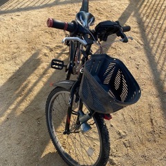 ブリヂストン　子供　自転車　24インチの画像