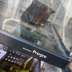 格安‼️90センチ水槽急ぎ売りの画像