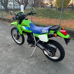 Kawasaki KLR250 カワサキ　オフロード オフ車 KL250Dの画像