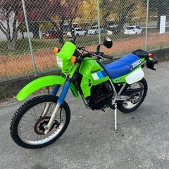 Kawasaki KLR250 カワサキ　オフロード オフ車 KL250Dの画像