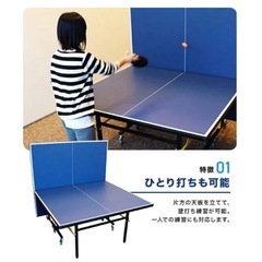 ティゴラ　国際規格サイズ卓球台の画像