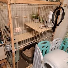 【値下げ💴⤵️】中古・猫 ケージ おしゃれ 木製 幅広の画像