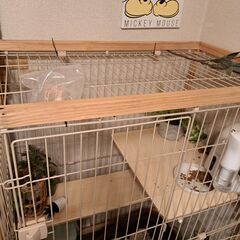 【値下げ💴⤵️】中古・猫 ケージ おしゃれ 木製 幅広の画像