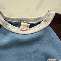 プティマイン トレーナーの画像