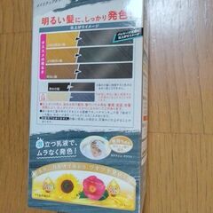 髪染め　ヘアーカラー　カラー種類グレーアッシュ　男女両用　メーカー　ホーユーHoyu　未使用未開封　の画像