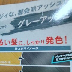 髪染め　ヘアーカラー　カラー種類グレーアッシュ　男女両用　メーカー　ホーユーHoyu　未使用未開封　の画像