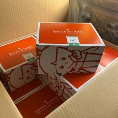 タピオカストローの画像