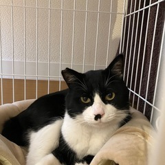 黒白　ちびくん☺️✨