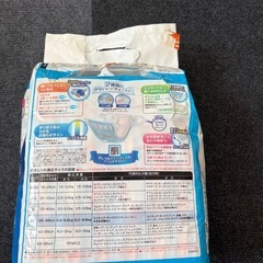 犬のオムツの画像