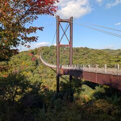 平日限定 自然に親しむ友達 募集