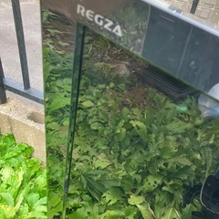 テレビ　東芝　TOSHIBA REGZA 日立市西成沢町 の画像