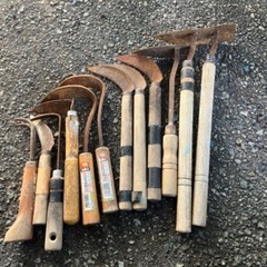 畑や田んぼにの画像