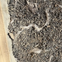 砂利、バラス　あげます　引き取り限定の画像