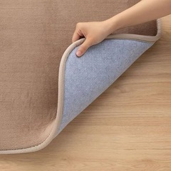 ニトリ　Nウォーム　カーペットの画像