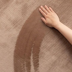 ニトリ　Nウォーム　カーペットの画像