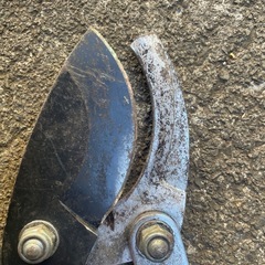 枝切り　受付停止中の画像