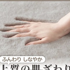 ニトリ　アクセントラグ(ウサギ2LMO 140X200)の画像