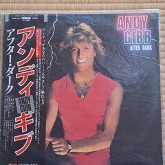 アンディー・ギブのレコードの画像