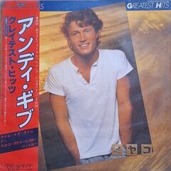アンディー・ギブのレコードの画像