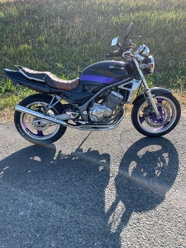 初期カワサキバリオス1型