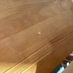 11月22日まで　　　ベンチタイプの画像