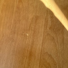 11月22日まで　　　ベンチタイプの画像