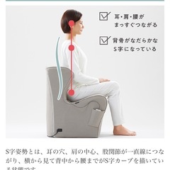 Style Dr.CHAIR Heatの画像