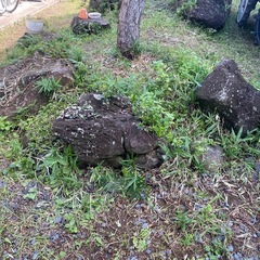 庭石差し上げます。の画像