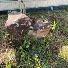 庭石差し上げます。の画像