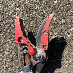 高枝切りの画像