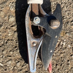 高枝切りの画像