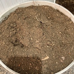 差し上げます 園芸用土　の画像