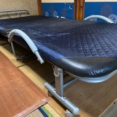 パイプペットの画像