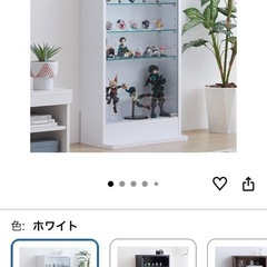 コレクションラック　白の画像