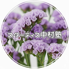 【残２枠】◆通信制高校生・不登校対応オンライン個別指導塾　スター...