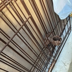 ペットゲージ
の画像